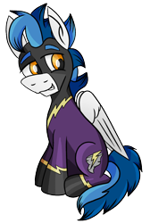 Size: 846x1260 | Tagged: safe, artist:whirlwindflux, imported from derpibooru, oc, oc only, oc:whirlwind flux, pegasus, pony, derpibooru community collaboration, 2022 community collab, clothes, costume, digital art, male, shadowbolts, shadowbolts costume, simple background, solo, stallion, transparent background