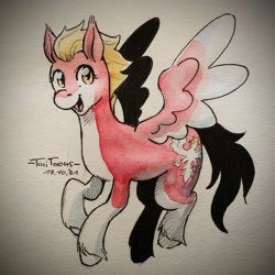 Size: 2048x2048 | Tagged: safe, artist:taritoons, imported from derpibooru, pegasus, pony, high res, nation ponies, poland, ponified, solo, traditional art