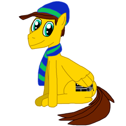 Size: 800x800 | Tagged: safe, artist:sb1991, derpibooru exclusive, imported from derpibooru, oc, oc only, oc:film reel, pegasus, pony, derpibooru community collaboration, 2022 community collab, clothes, hat, looking at you, male, scarf, simple background, sitting, solo, transparent background, winter hat