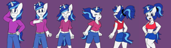Size: 3396x960 | Tagged: safe, artist:klonoahedgehog, imported from derpibooru, shining armor, anthro, unicorn, equestria girls, alumnus shining armor, bra, clothes, commission, crop top bra, equestria girls ponified, gleaming shield, hand on hip, male to female, ponified, ponytail, rule 63, transformation, transgender transformation, underwear