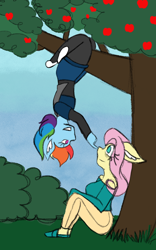 Size: 800x1280 | Tagged: safe, artist:mintymelody, imported from derpibooru, fluttershy, rainbow dash, anthro, apple, apple tree, boop, bush, converse, ear fluff, eye bag, female, flutterdash, hanging, hanging upside down, lesbian, shipping, shoes, tree, upside down