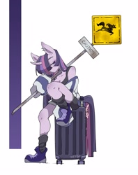 Size: 1980x2500 | Tagged: safe, artist:potetecyu_to, imported from derpibooru, twilight sparkle, anthro, plantigrade anthro, unicorn, clothes, female, holding, luggage, sign, simple background, sitting, solo, white background