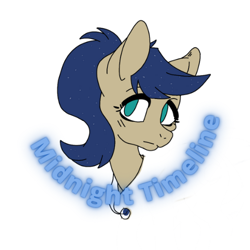 Size: 500x500 | Tagged: safe, artist:princessmoonlight, imported from derpibooru, oc, oc:midnight timeline, earth pony, badge, bust, curve text, green eyes, jewelry, necklace, portrait