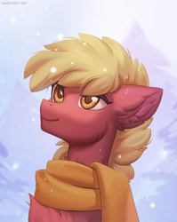 Size: 954x1200 | Tagged: safe, artist:margony, imported from derpibooru, oc, oc only, earth pony, pony, clothes, male, scarf, solo, stallion