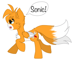Size: 824x701 | Tagged: safe, artist:aerithechidna4rt, imported from derpibooru, fox, fox pony, hybrid, pony, cheek fluff, chest fluff, colored wings, countershading, cute, fangs, fluffy, miles "tails" prower, multiple tails, open mouth, ponified, running, simple background, sonic the hedgehog (series), speech bubble, tail, transparent background, two tails, two toned wings, wings