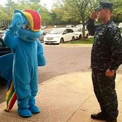 Size: 1260x1265 | Tagged: safe, rainbow dash, human, clothes, cosplay, costume, fursuit, irl, irl human, irl photo, patriotic, photo, salute, soldier