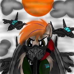 Size: 720x720 | Tagged: safe, artist:melidash, imported from derpibooru, oc, oc only, oc:fededash, pegasus, pony, argentina, cloud, day, eyebrows, folded wings, jet, jet fighter, male, plane, solo, stallion, sun, war, wings