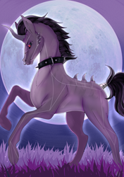 Size: 2100x2982 | Tagged: safe, artist:munrei, imported from derpibooru, oc, oc only, oc:kuroran, pony, unicorn, black sclera, collar, eyebrows, grass, high res, hoers, horn, male, moon, night, nose piercing, nose ring, piercing, realistic horse legs, scar, simple background, solo, spiked collar, stallion, tail, tail wrap, thorn