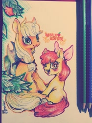 Size: 960x1280 | Tagged: safe, artist:mirululu, imported from derpibooru, apple bloom, applejack, earth pony, pony, adorabloom, blushing, cute, female, filly, foal, mare, siblings, sisters, smiling, traditional art