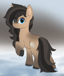 Size: 1700x2000 | Tagged: safe, artist:luminousdazzle, imported from derpibooru, oc, oc only, oc:flister, earth pony, pony, blue eyes, blurry background, chest fluff, ear fluff, facial markings, female, fluffy, gradient hooves, looking at you, mare, raised hoof, simple background, snow, snow mare, snowpony (species), solo, unshorn fetlocks, yakutian horse