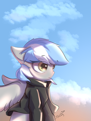 Size: 2250x3000 | Tagged: safe, artist:morealy, imported from derpibooru, oc, oc only, oc:antimony, pegasus, pony, clothes, cloud, high res, hoodie, jacket, sky, solo