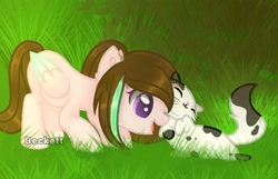 Size: 698x449 | Tagged: safe, artist:plinckyctt, imported from derpibooru, oc, oc only, cat, pegasus, pony, duo, female, grass, mare, pegasus oc, wings