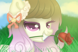 Size: 866x576 | Tagged: safe, artist:plinckyctt, imported from derpibooru, oc, oc only, earth pony, pony, bedroom eyes, bust, earth pony oc, eyelashes, female, flower, flower in mouth, grass, mare, mouth hold, outdoors, rose, solo