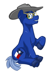 Size: 1084x1636 | Tagged: safe, artist:texasuberalles, imported from derpibooru, oc, oc only, earth pony, pony, derpibooru community collaboration, 2022 community collab, cowboy hat, glasses, hat, looking at you, male, ponysona, scar, simple background, sitting, smiling, solo, stallion, transparent background, unshorn fetlocks