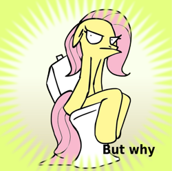 Size: 1213x1201 | Tagged: safe, imported from derpibooru, fluttershy, pony, derpibooru, but why, meta, sitting, sitting on toilet, spoilered image joke, toilet