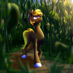 Size: 2048x2048 | Tagged: safe, artist:spirit-fire360, imported from ponybooru, oc, oc only, oc:acres, earth pony, pony, blonde, blonde mane, blonde tail, brown coat, corn, cowboy hat, detailed background, earth pony oc, eye clipping through hair, food, hat, looking up, male, path, smiling, socks (coat marking), solo, stallion, walking