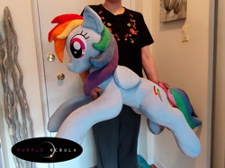 Size: 1280x956 | Tagged: safe, artist:purplenebulastudios, imported from derpibooru, rainbow dash, human, pony, irl, irl human, life size, photo, plushie