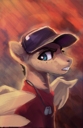 Size: 1500x2312 | Tagged: safe, artist:hierozaki, imported from derpibooru, oc, oc only, pegasus, pony, baseball cap, cap, dog tags, hat, male, scout, solo, team fortress 2