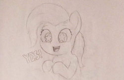 Size: 591x380 | Tagged: safe, artist:zippysqrl, fluttershy, pony, monochrome, open mouth, simple background, smiling, starry eyes, wingding eyes, yes