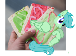 Size: 762x564 | Tagged: safe, imported from derpibooru, oc, oc:paradise tart, human, original species, pegasus, pony, food, hand, irl, photo, poptart, poptart pony