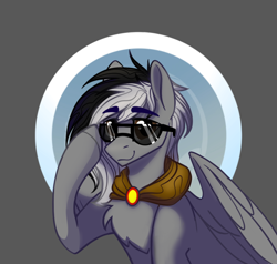 Size: 832x792 | Tagged: safe, artist:alrumoon_art, imported from derpibooru, oc, oc only, pegasus, pony, chest fluff, male, solo, sunglasses