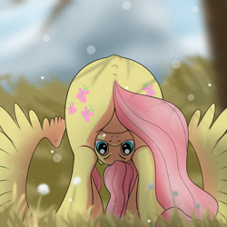 Size: 1080x1080 | Tagged: safe, artist:杏银花开, imported from derpibooru, fluttershy, pegasus, pony, both cutie marks, butt, cute, female, flutterbutt, looking at you, looking between legs, mare, plot, shyabetes, solo