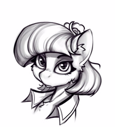 Size: 3411x3769 | Tagged: safe, artist:alcor, imported from derpibooru, coco pommel, earth pony, pony, ear fluff, female, high res, looking at you, mare, monochrome, sketch, solo