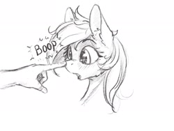 Size: 2048x1536 | Tagged: source needed, safe, artist:alcor, imported from derpibooru, human, pony, blushing, boop, hand, looking at someone, monochrome, sketch, surprised, text