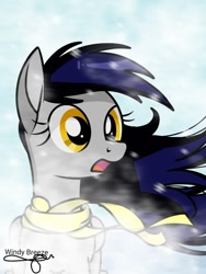 Size: 768x1024 | Tagged: safe, artist:windy breeze, imported from derpibooru, oc, oc only, oc:stormlight, pegasus, pony, blizzard, clothes, female, ibispaint x, mare, scarf, shading, signature, snow, snowfall, snowflake, solo, windswept mane, windy