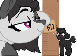 Size: 1503x1098 | Tagged: safe, artist:nootaz, imported from derpibooru, oc, oc:inkenel, oc:oretha, pony, 5'11" vs 6'0", female, grumpy, larger female, macro, male, measuring, micro, size difference, smaller male, smug, yardstick