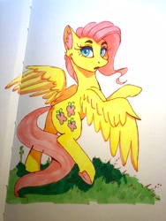 Size: 3024x4032 | Tagged: safe, artist:galinn-arts, imported from derpibooru, fluttershy, pony, female, mare, solo, traditional art