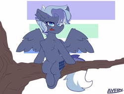 Size: 2048x1560 | Tagged: safe, artist:avery-valentine, imported from derpibooru, pegasus, pony, :p, blue eyes, chest fluff, commission, simple background, solo, tongue out, tree, tree branch, white background