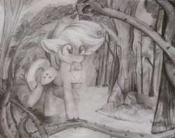 Size: 2048x1626 | Tagged: safe, artist:lbrcloud, imported from derpibooru, applejack, earth pony, pony, cute, forest, jackabetes, lantern, monochrome, solo, traditional art