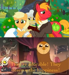 Size: 500x549 | Tagged: safe, imported from derpibooru, applejack, big macintosh, mayor mare, bird, demon, earth pony, owl, pony, the big mac question, spoiler:the owl house, applecest, applemac, bug demon, collar, female, hooty, house demon, incest, king clawthorne, male, pet tag, shipper on deck, shipping, skull, spoilers for another series, straight, the owl house, titan