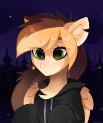 Size: 1600x1900 | Tagged: safe, alternate version, artist:zlatavector, imported from derpibooru, oc, oc only, oc:astra, firefly (insect), insect, pegasus, pony, clothes, commission, female, forest, hoodie, mare, night, solo