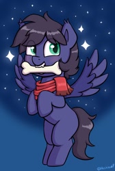 Size: 1122x1672 | Tagged: safe, artist:heretichesh, imported from derpibooru, oc, oc only, oc:fenris ebonyglow, pegasus, pony, behaving like a dog, bone, clothes, flying, mouth hold, scarf, solo, stars