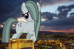 Size: 2100x1400 | Tagged: safe, artist:slb94, artist:thegiantponyfan, imported from derpibooru, marble pie, earth pony, pony, blushing, cute, female, giant pony, giant/macro earth pony, giantess, highrise ponies, irl, las vegas, macro, marblebetes, mare, mega giant, nevada, photo, ponies in real life, shy