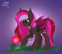 Size: 1952x1716 | Tagged: safe, artist:shinizavr, imported from derpibooru, oc, oc only, pegasus, pony, flower, sketch, solo