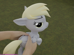 Size: 4000x3000 | Tagged: safe, artist:extremespeed slowpoke, imported from derpibooru, derpy hooves, human, pony, 3d, blender, derpy hooves is not amused, hand, hold x gentle like hamburger, holding a pony, looking back, meme, nose wrinkle, offscreen character, ponified meme, solo focus