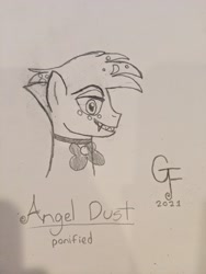 Size: 3024x4032 | Tagged: safe, artist:gassy fluttershy, artist:official_dj_scr4tchk4t, imported from derpibooru, pony, angel dust, bowtie, choker, femboy, hazbin hotel, helluva boss, male, ponified, sketch, traditional art