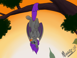 Size: 4096x3072 | Tagged: source needed, safe, alternate version, artist:marimora, imported from derpibooru, oc, oc only, bat pony, pony, bat pony oc, bat wings, dawn, female, food, mango, solo, tree, tree branch, upside down, wings