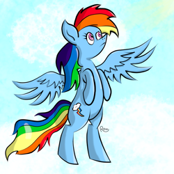 Size: 1080x1080 | Tagged: safe, artist:rossponeart, imported from derpibooru, rainbow dash, pegasus, pony, backwards cutie mark, cloud, flying, sky, solo