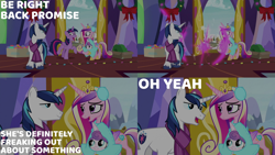 Size: 2000x1125 | Tagged: safe, edit, edited screencap, editor:quoterific, imported from derpibooru, screencap, princess cadance, princess flurry heart, shining armor, twilight sparkle, alicorn, pony, unicorn, best gift ever, baby, baby pony, clothes, earmuffs, female, messy mane, open mouth, scarf, sisters-in-law, star flurry heart, twilight snapple, twilight sparkle (alicorn), twilight's castle