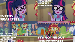 Size: 1986x1117 | Tagged: safe, edit, edited screencap, editor:quoterific, imported from derpibooru, screencap, flam, flim, golden hazel, sandalwood, sci-twi, sunset shimmer, twilight sparkle, human, equestria girls, equestria girls series, rollercoaster of friendship, angry, duo, duo female, duo male, female, flim flam brothers, glasses, it's not about the parakeet, male, messy hair, open mouth, rage, rageset shimmer