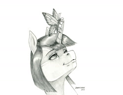 Size: 1400x1088 | Tagged: safe, artist:baron engel, imported from derpibooru, oc, oc:marble vein, butterfly, unicorn, female, mare, monochrome, pencil drawing, story included, traditional art