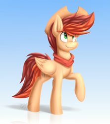 Size: 2400x2700 | Tagged: safe, artist:kaylerustone, imported from derpibooru, oc, oc only, oc:kayle rustone, pegasus, pony, clothes, cowboy hat, hat, looking up, male, scarf, smiling, stallion