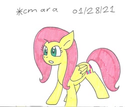 Size: 1153x992 | Tagged: safe, artist:cmara, imported from derpibooru, fluttershy, pegasus, pony, female, gritted teeth, mare, simple background, solo, traditional art, white background