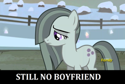 Size: 1278x858 | Tagged: safe, edit, edited screencap, imported from derpibooru, screencap, marble pie, earth pony, pony, hearthbreakers, caption, discovery family logo, female, image macro, lonely, mare, sad, single, solo, text, tfw no bf