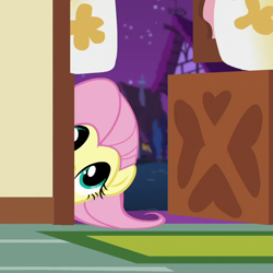 Size: 670x670 | Tagged: safe, imported from derpibooru, screencap, fluttershy, pegasus, pony, scare master, cropped, cute, female, hiding, mare, shyabetes, solo