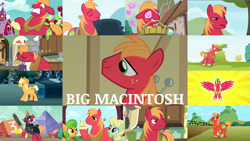 Size: 1968x1109 | Tagged: safe, edit, edited screencap, editor:quoterific, imported from derpibooru, screencap, apple honey, apple tarty, applejack, big macintosh, perfect pie, alicorn, cat, earth pony, pony, unicorn, do princesses dream of magic sheep, dungeons and discords, friendship is magic, going to seed, hard to say anything, leap of faith, lesson zero, magic duel, on your marks, the big mac question, the break up breakdown, the cutie pox, the super speedy cider squeezy 6000, 0, 3, 4, alicornified, angry, apple, apple family member, applejack (male), big jackintosh, bigmacicorn, confused, cupcake, disguise, eyes closed, female, food, glowing horn, goggles, heart eyes, horn, magic, magic aura, male, open mouth, pancakes, princess big mac, princess big macintosh, race swap, rule 63, sir mcbiggen, solo, stallion, surprised, trio, unicorn big mac, wingding eyes